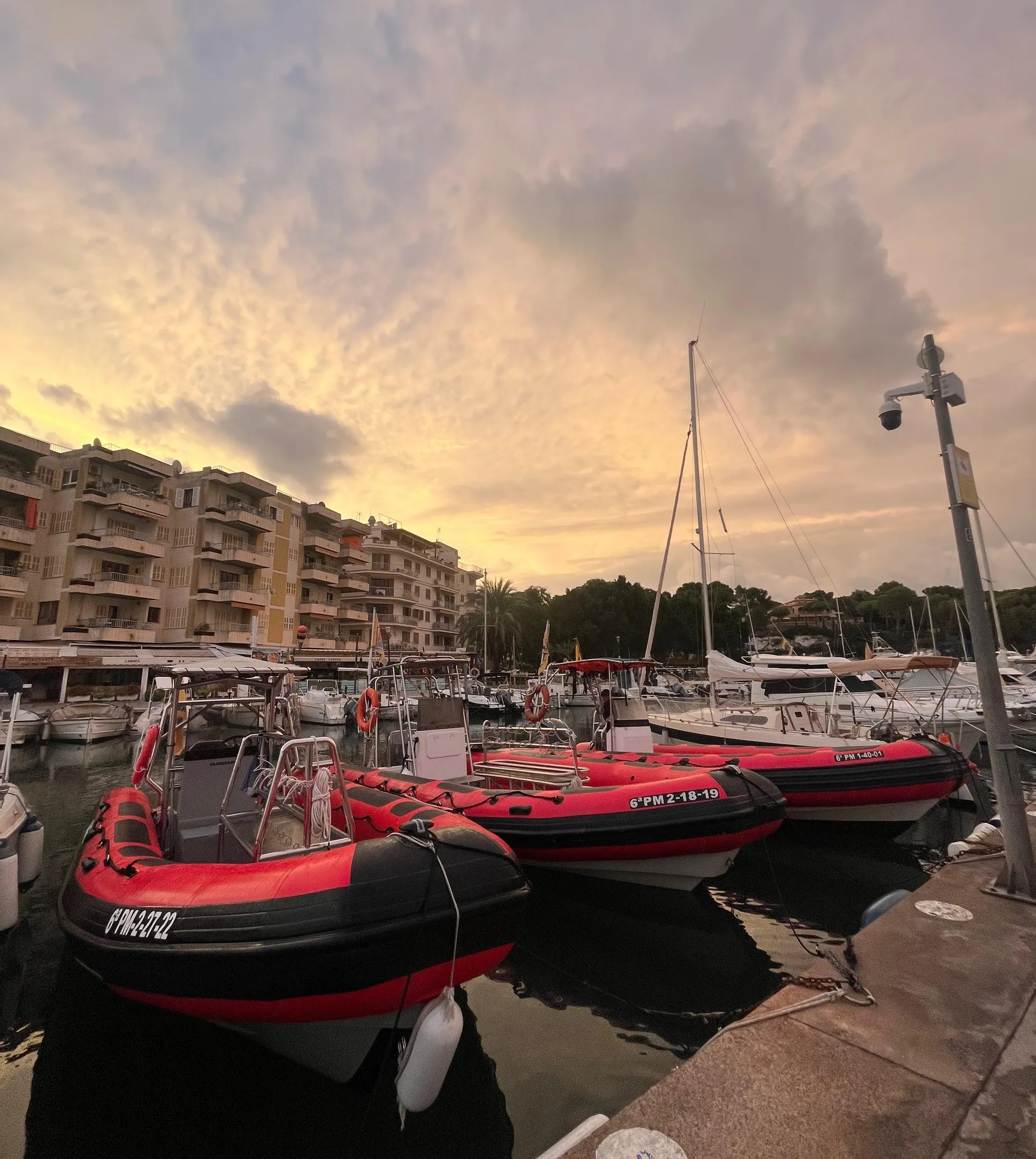 Skualo Porto Cristo Team Building Boat Trip in Mallorca