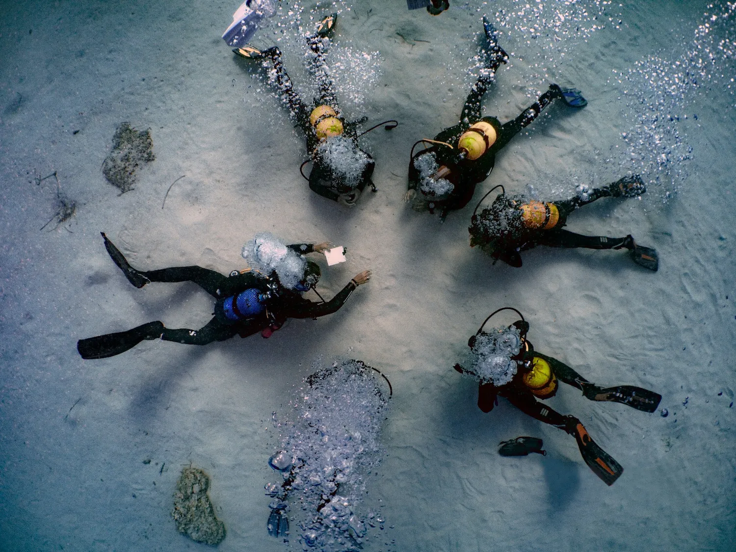 Skualo Porto Cristo PADI Scuba Diving Courses in Mallorca