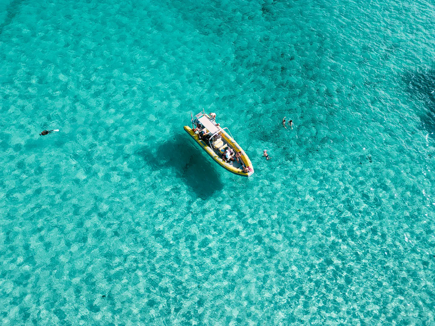 Skualo Porto Cristo Private Boat Charter in Mallorca