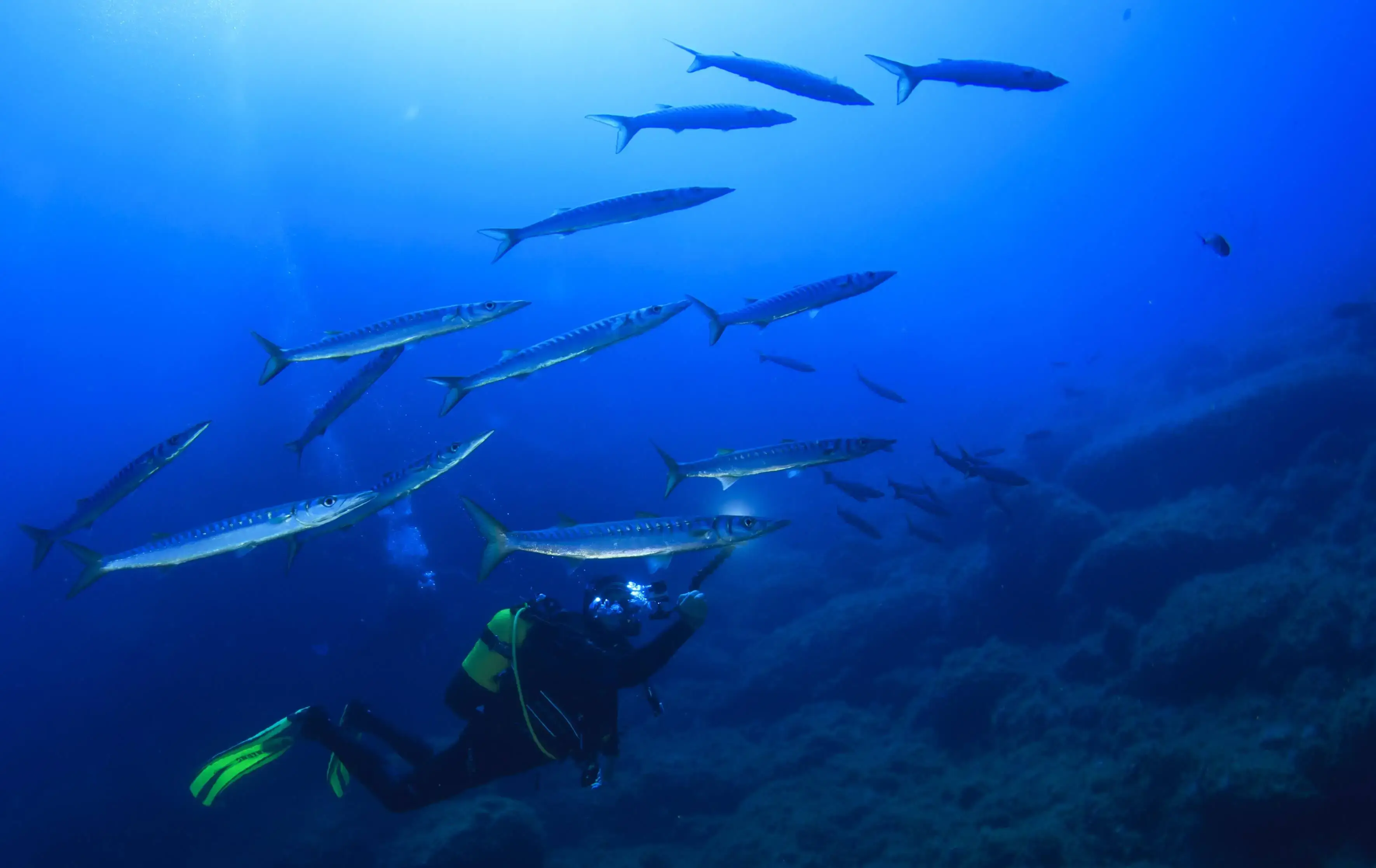 Plongeurs avancés en descente