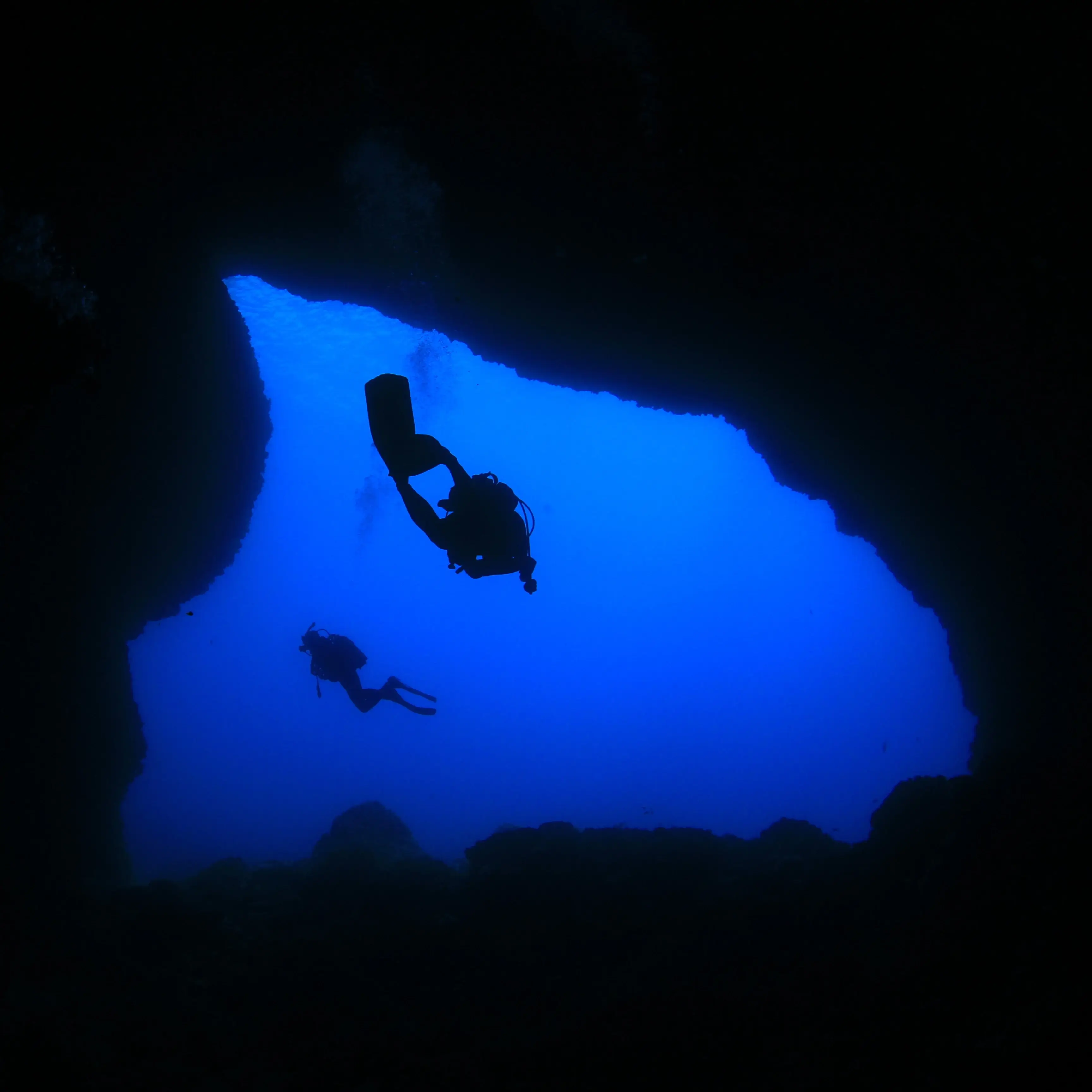 Vida marina en Mallorca