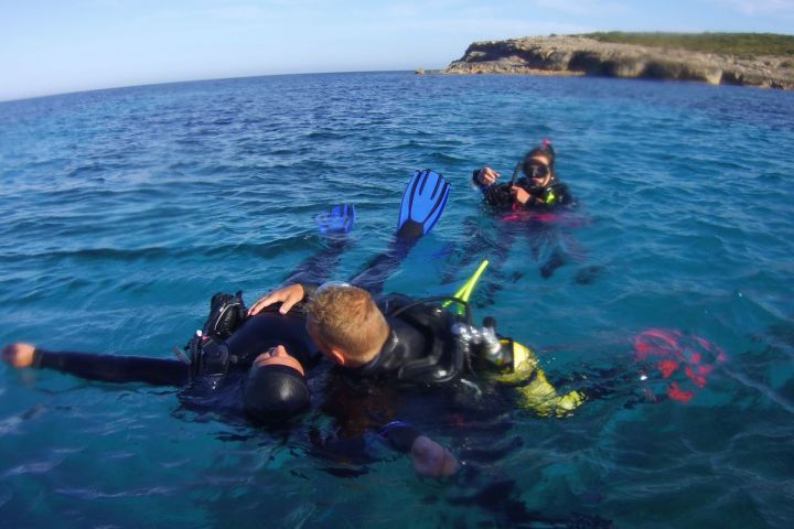 a group of people swimming in a body of water